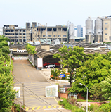 Group Business-Tainan Spinning Co., Ltd.